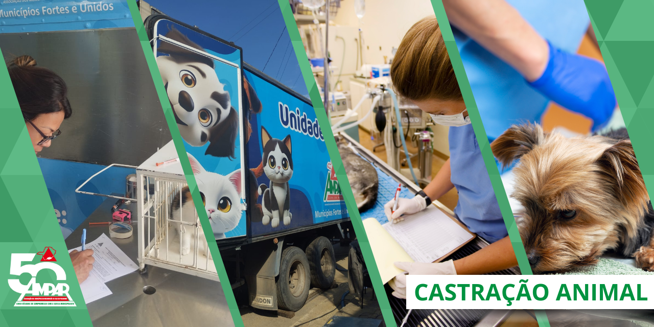 CASTRAÇÃO ANIMAL